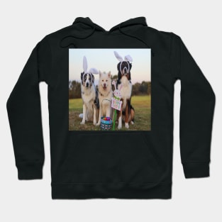 Australian Shepherds Enjoying Easter Hoodie